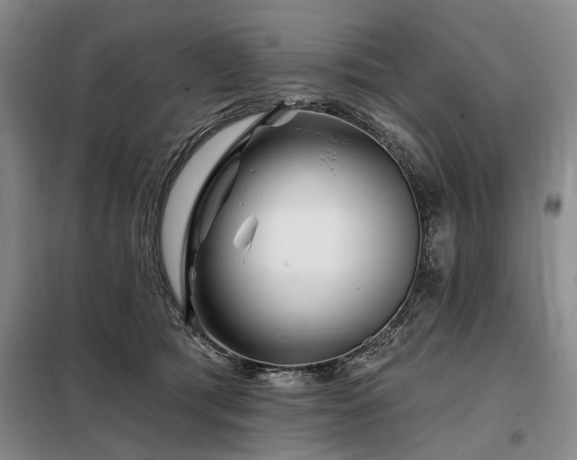 X0000098150417200804171617