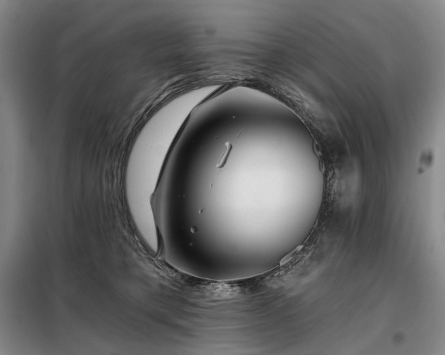 X0000098150421200804171617