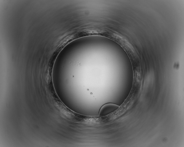 X0000098150422200804171617