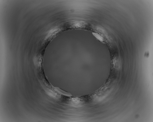 X0000098150423200804171617