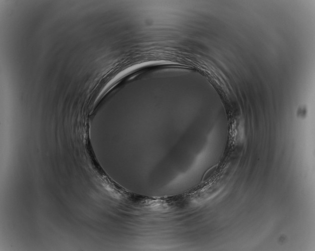 X0000098150424200804171617
