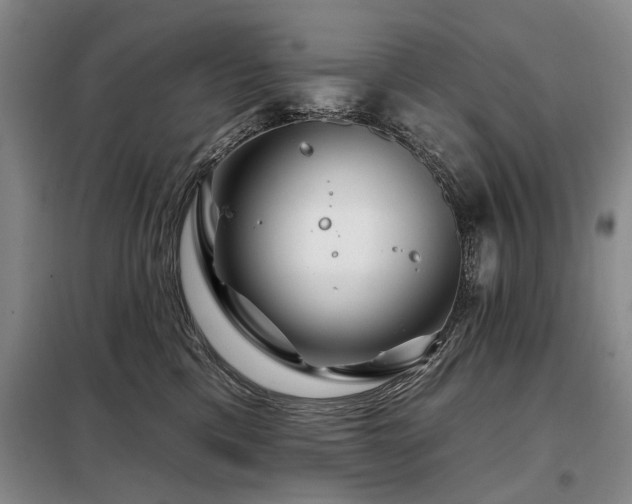 X0000098150425200804171617