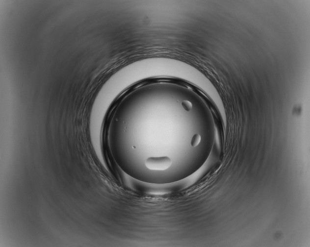 X0000098150427200804171617