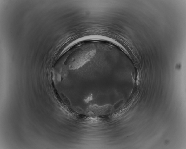 X0000098150428200804171617