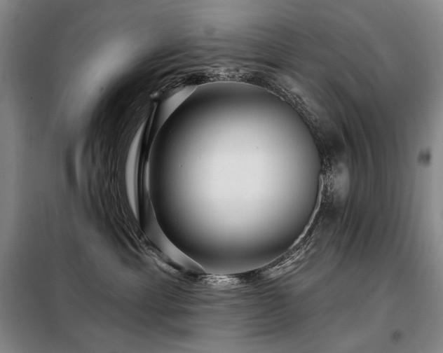 X0000098150429200804171617