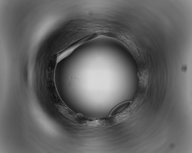 X0000098150430200804171617
