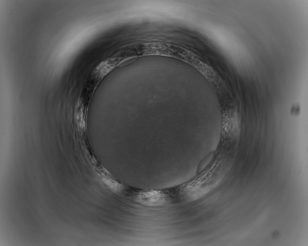 X0000098150431200804171617