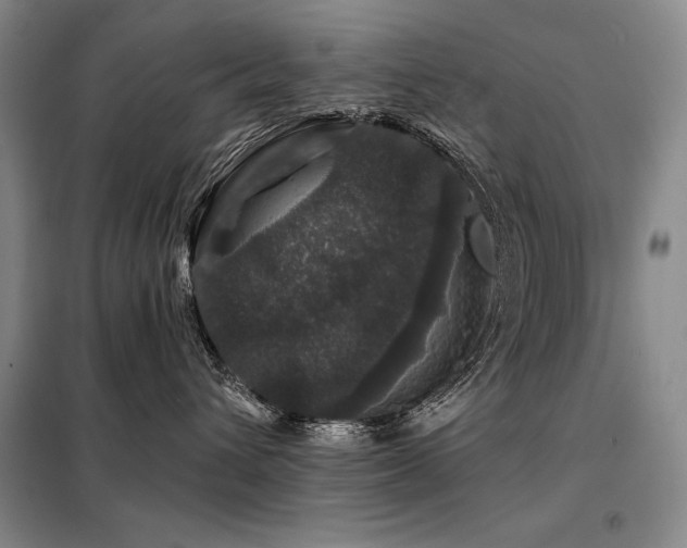 X0000098150432200804171617