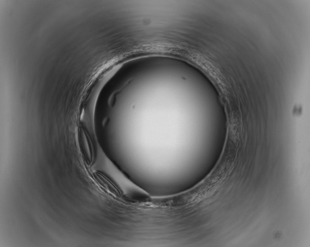 X0000098150434200804171616