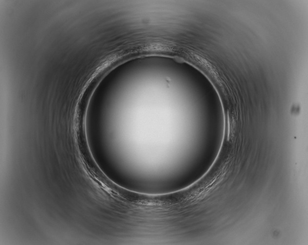 X0000098150435200804171616