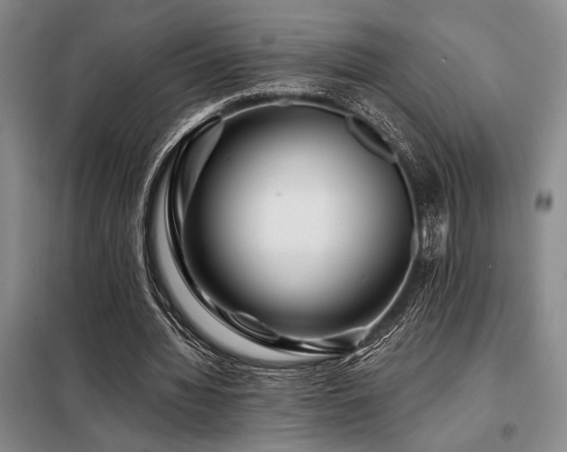 X0000098150436200804171616