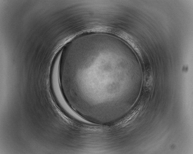 X0000098150437200804171616