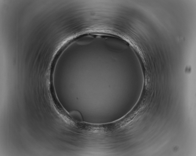 X0000098150438200804171616