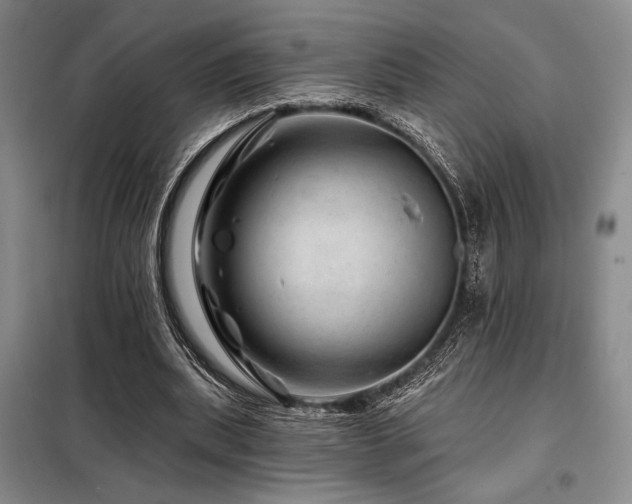 X0000098150439200804171616