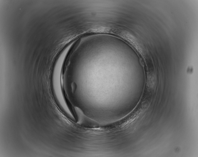 X0000098150441200804171616