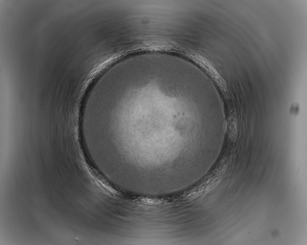 X0000098150442200804171616