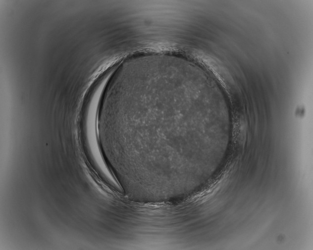 X0000098150443200804171617