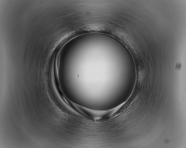 X0000098150444200804171617