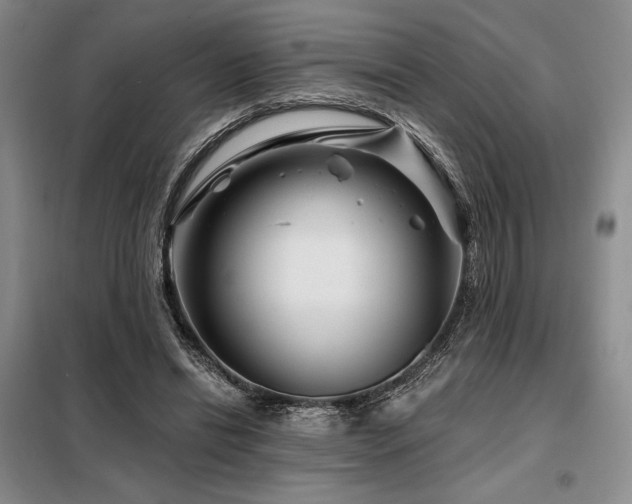 X0000098150446200804171617