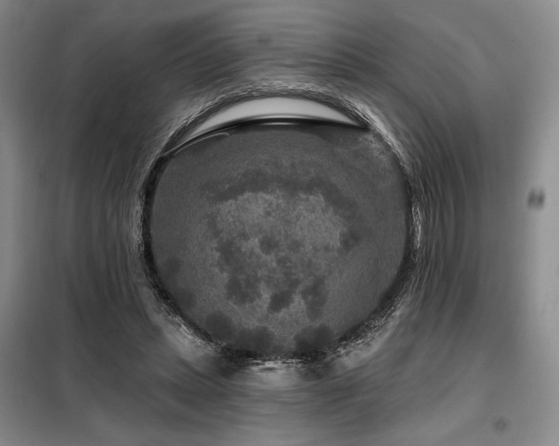 X0000098150447200804171617