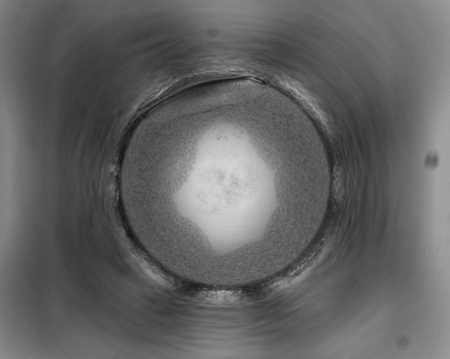 X0000098150449200804171617
