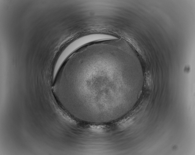 X0000098150450200804171617