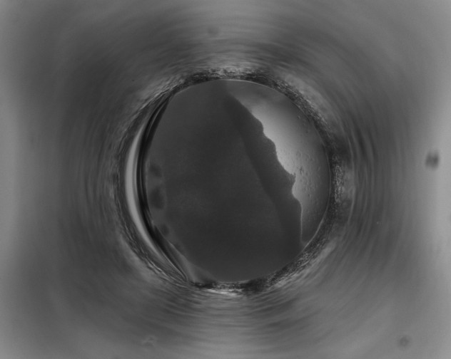 X0000098150451200804171617