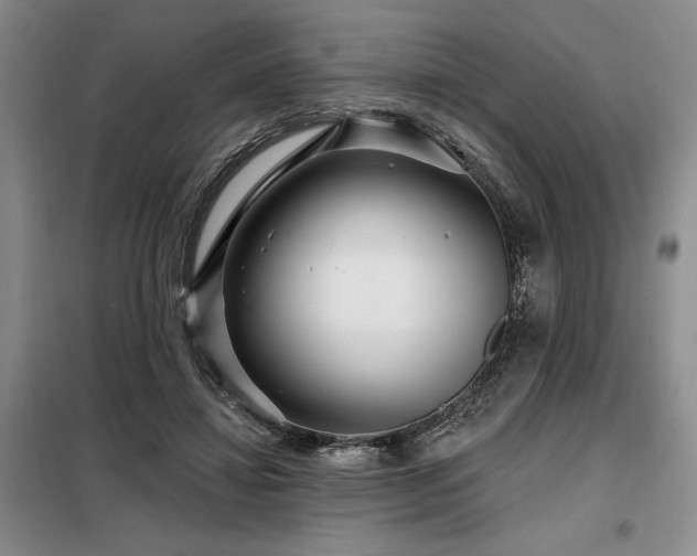 X0000098150452200804171617