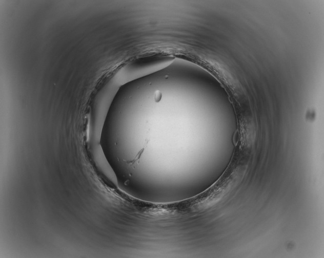 X0000098150453200804171617