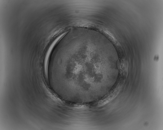 X0000098150454200804171617