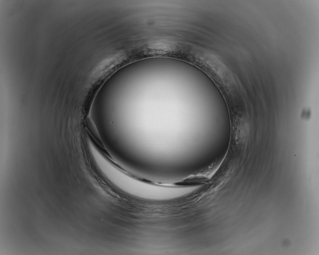 X0000098150455200804171617