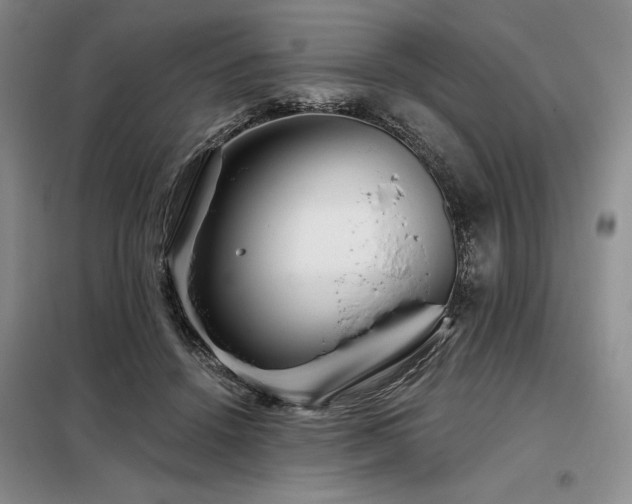 X0000098150456200804171617