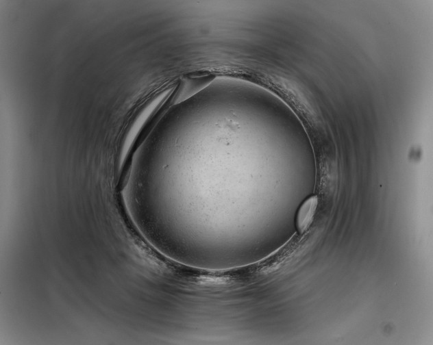 X0000098150457200804171617