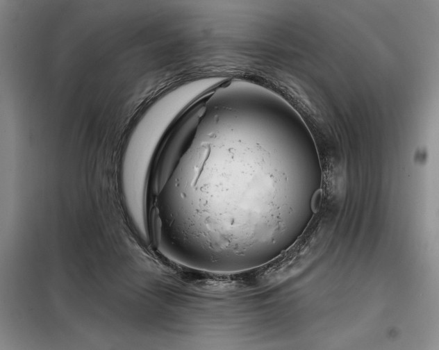 X0000098150458200804171617