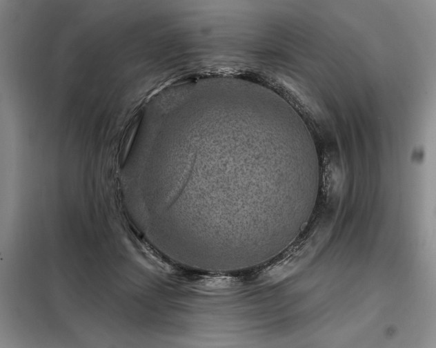 X0000098150459200804171617