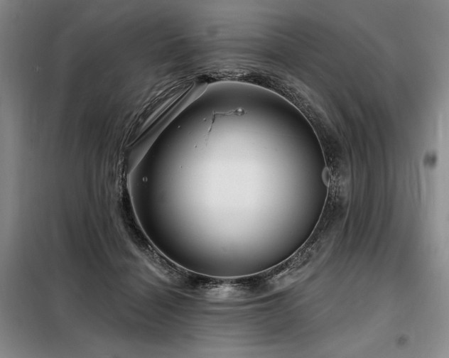 X0000098150460200804171617