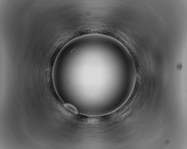 X0000098150462200804171617
