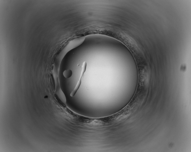 X0000098150463200804171617