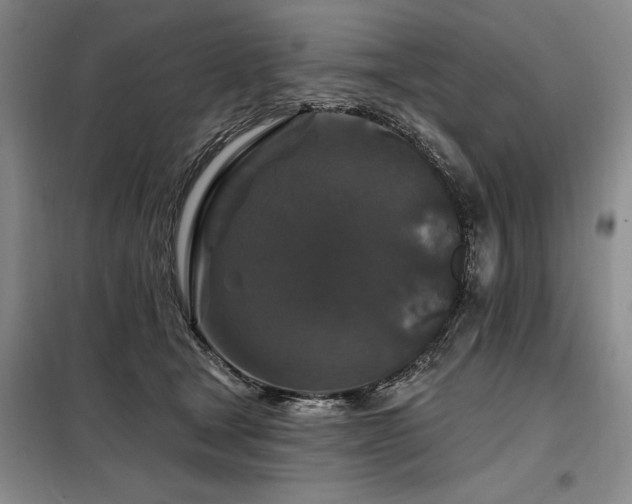 X0000098150465200804171617