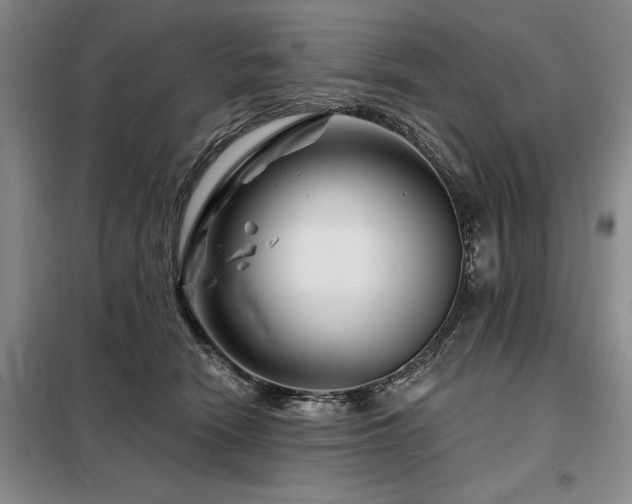 X0000098150466200804171617