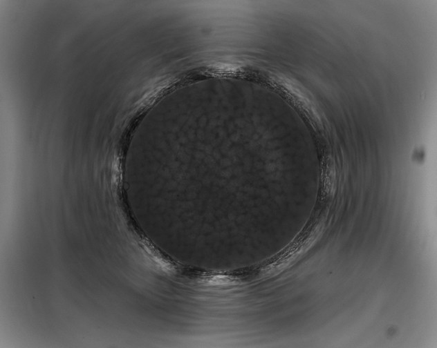 X0000098150467200804171617