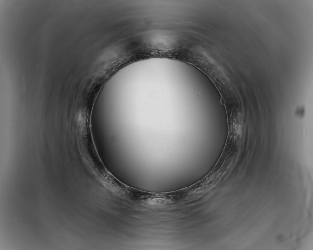 X0000098150468200804171617