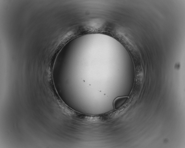 X0000098150469200804171617