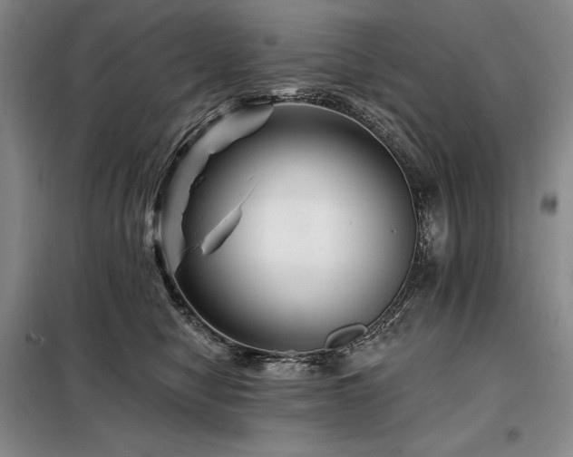 X0000098150470200804171617