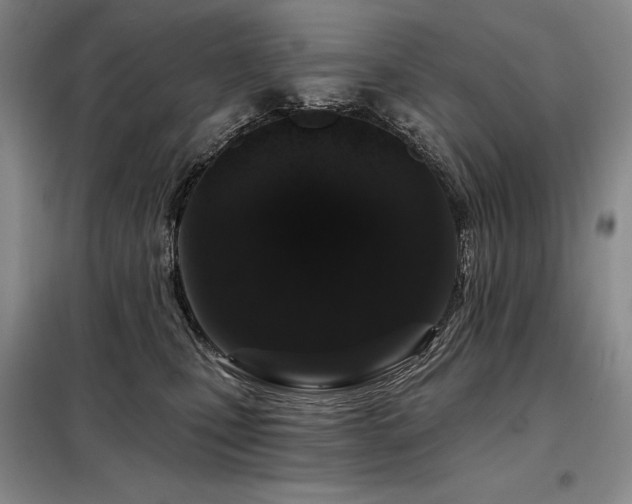 X0000098150471200804171617