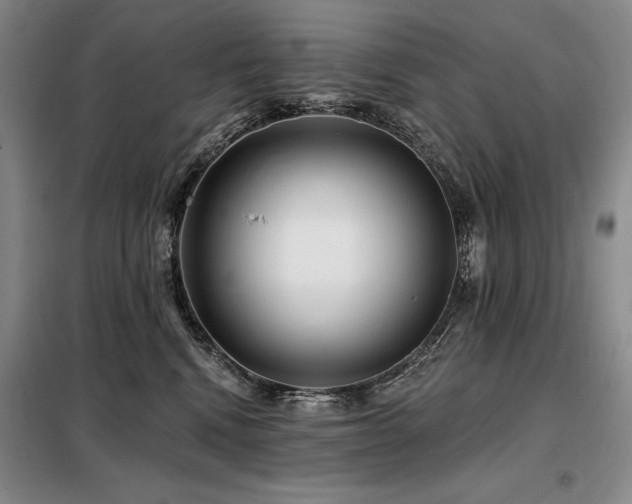 X0000098150472200804171617