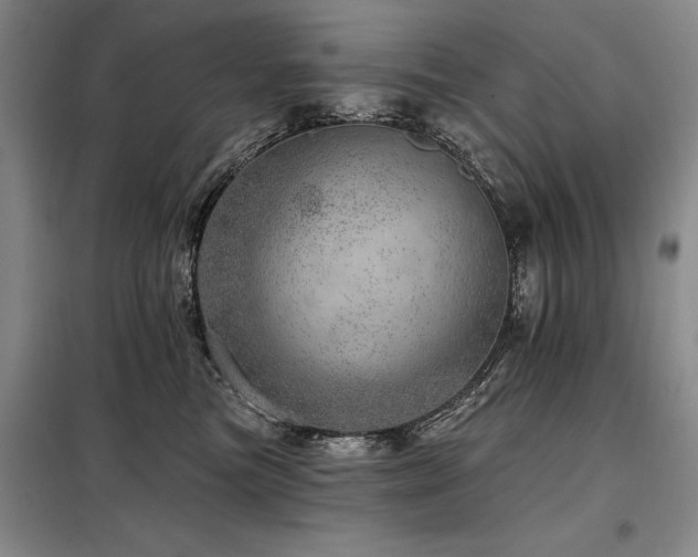 X0000098150473200804171617