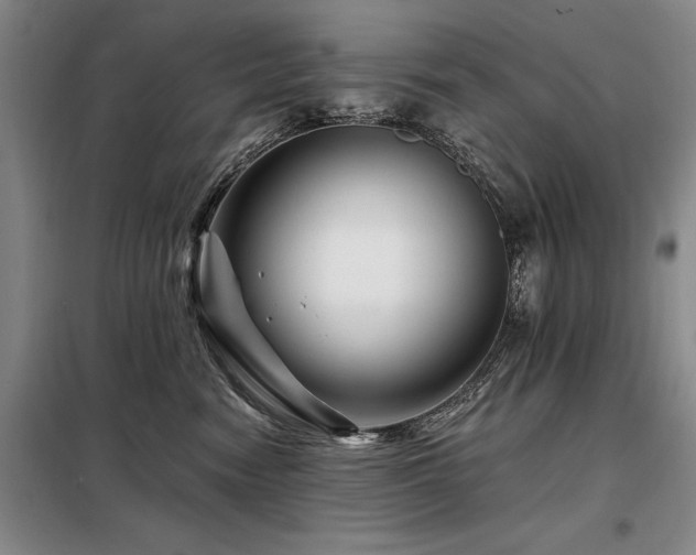 X0000098150474200804171617