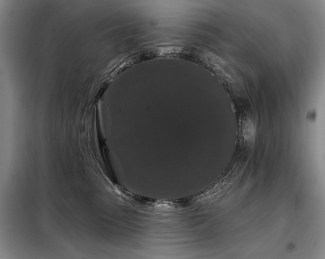 X0000098150475200804171617