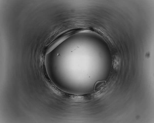 X0000098150476200804171617